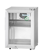 GCKW20 - MiniKühlschrank - Edelstahl 