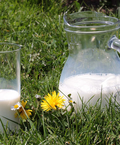 Tag_der_milch